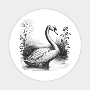 Beautiful Swan Magnet